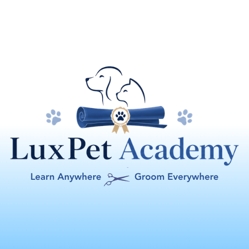 My Blog